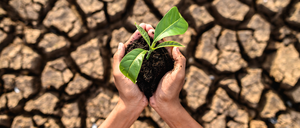 Bannière article réchauffement climatique France