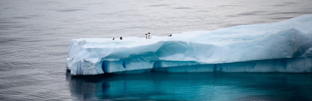 Bannière Wordpress Loi climat et résilience