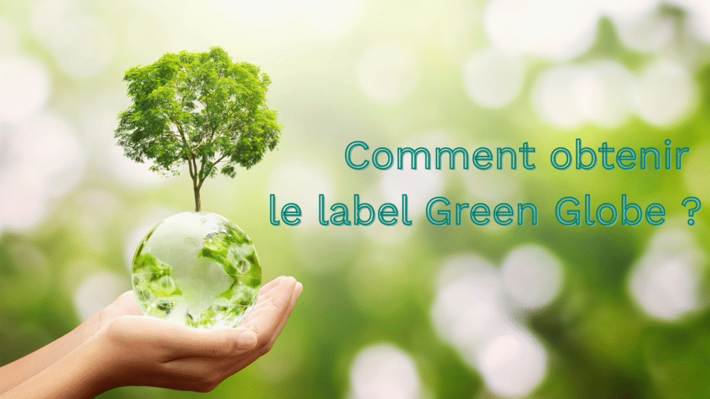 Une photo stylisée d'un globe terrestre en verre ou en bois, entouré de petites plantes succulentes ou de feuilles, sur un fond clair et épuré. Symbole fort et positif.