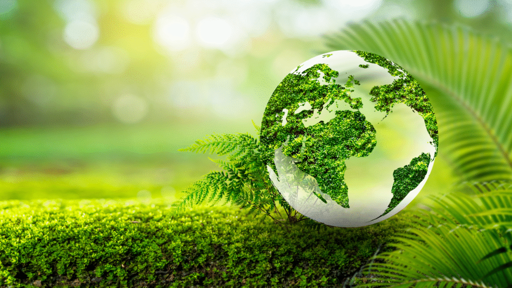 Green Globe certification hôtelière durable réemploi