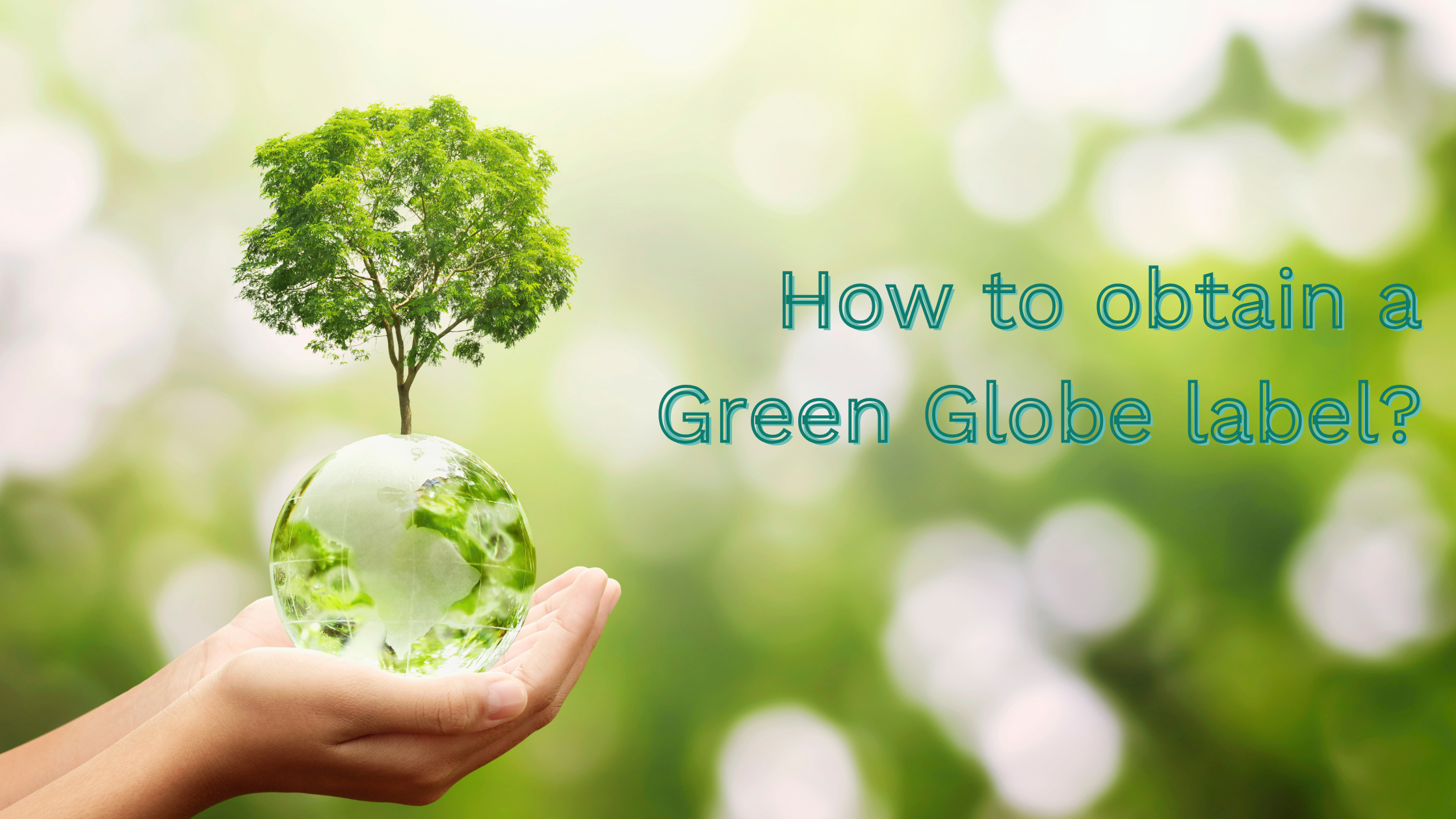 How to obtain a Green Globe label, photo with a question and a small green globe