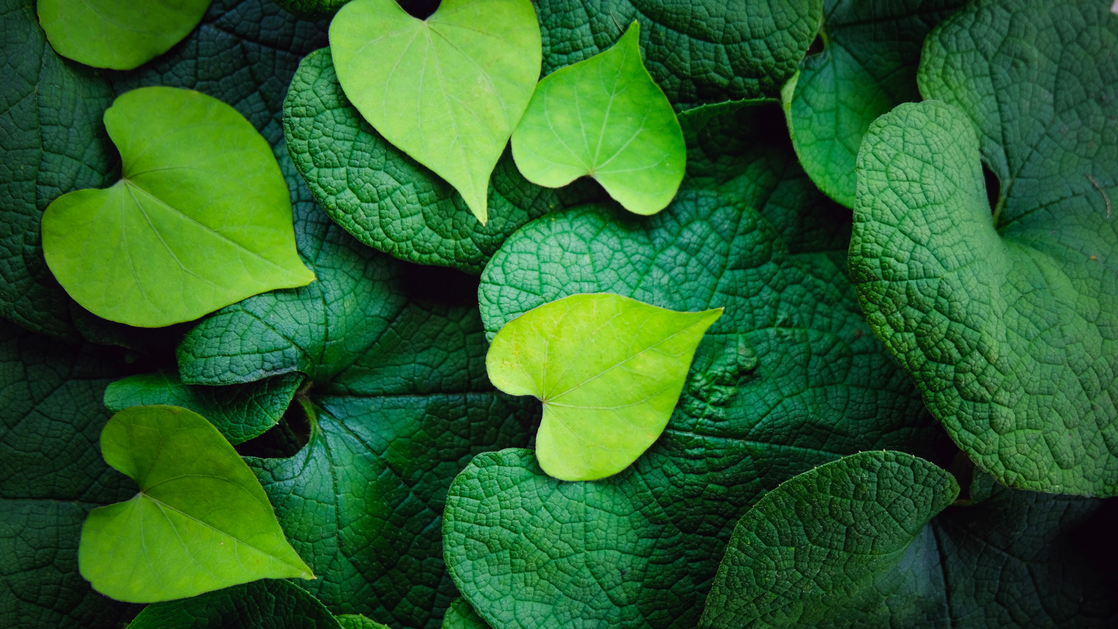 Cœur symbolique en matériaux recyclés pour engagement durable entreprise