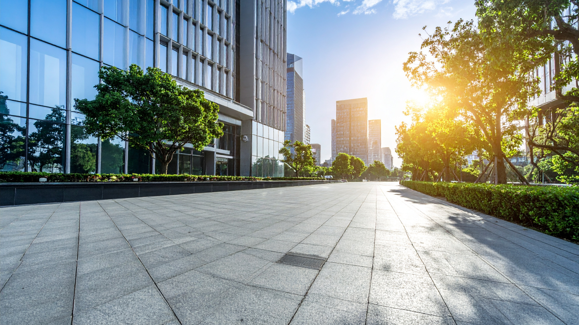 actifs multi-sites entreprise gestion multi-sites